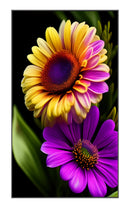 ADisplay Signage PRO 55"  500 nits Android