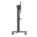 ADisplay Motorstand m/ hylde 100kg