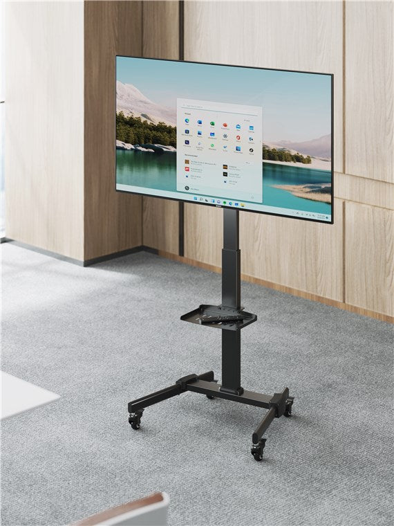TV Stand Basic TV 37" til 70" med hylde