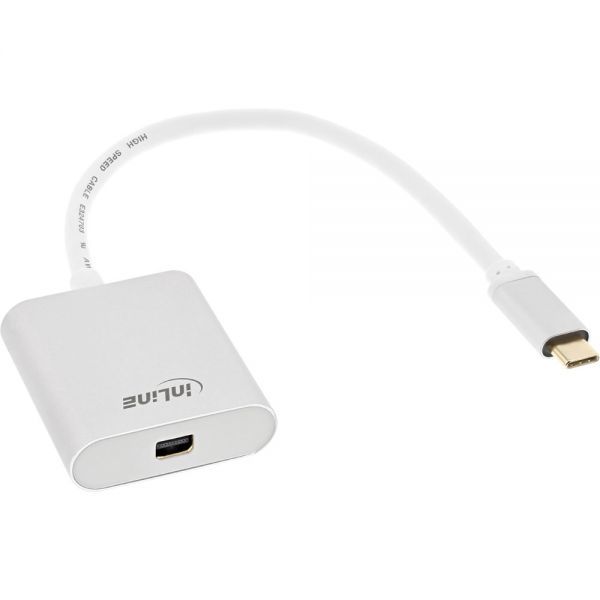 USB-C til Mini DisplayPort female Hvid/silver