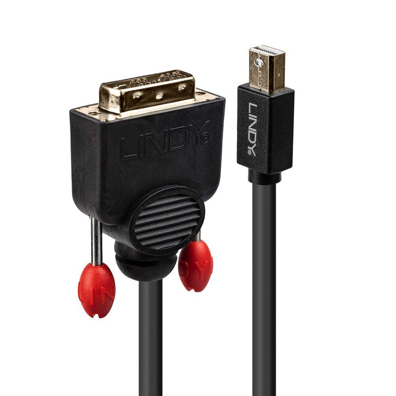 DisplayPort Mini til DVI-D kabel, sort, 2 m