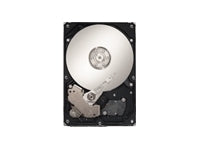 Seagate 1TB 7200RPM 24x7x365 Raid & Sever HD