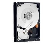 WD 2TB 7200RPM 24x7x365 Raid & Server HD