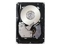 Seagate 300GB 15K RPM SAS 24x7x365 Server