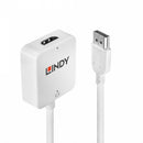 Lindy HDMI to DisplayPort 4k